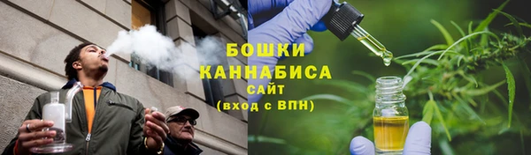ПСИЛОЦИБИНОВЫЕ ГРИБЫ Заволжье