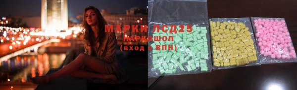 ПСИЛОЦИБИНОВЫЕ ГРИБЫ Заволжье