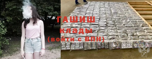 ПСИЛОЦИБИНОВЫЕ ГРИБЫ Заволжье