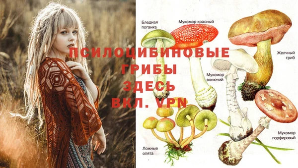 дистиллят марихуана Заводоуковск