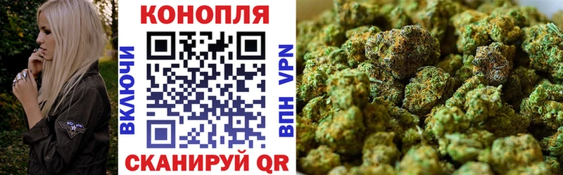 мега онион  Калачинск  Бошки марихуана Amnesia 